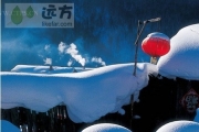 黑龙江双峰林场冬天的童话世界