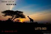 来肯尼亚 看最狂野的动物世界