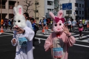 趣味动画人物云集的日本搞笑马拉松