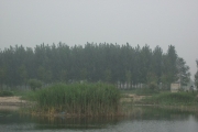 邢台西北留湿地清凉游