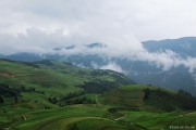 感受自然之美 欣赏七月最不一样的滇藏风景